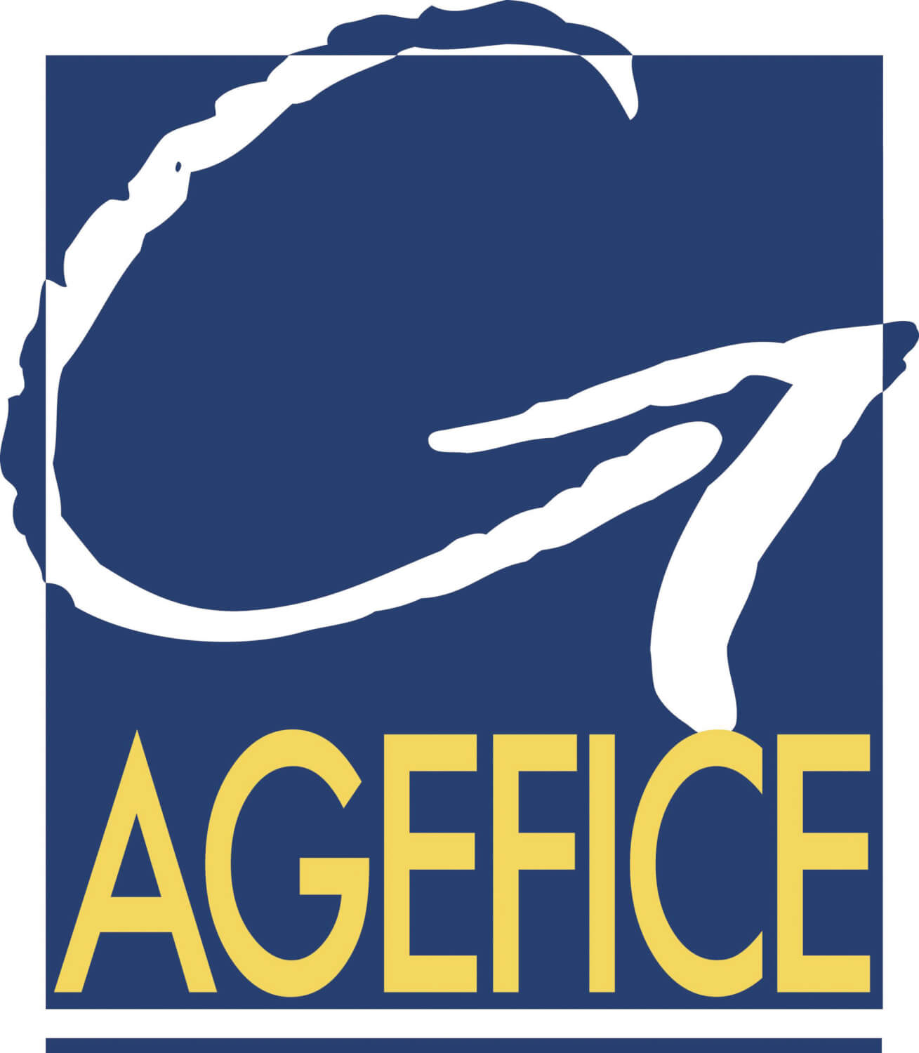 Logo_agefice-scaled